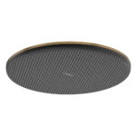 Raindance Alive S 300 EcoSmart: Overhead Shower; 1-Jet Brushed Bronze