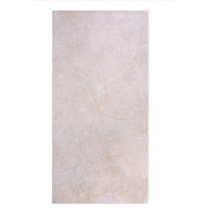 3848-0 Sea Grain Beige: Matt Granito Tile 30.0x60.0