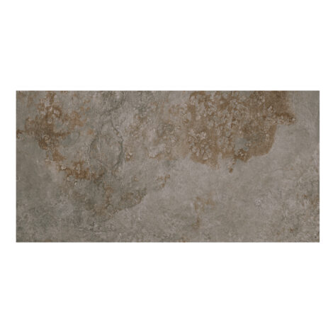 Cromat Ardesia: Matt Porcelain Tile: (45.0x90.0)cm, Silver