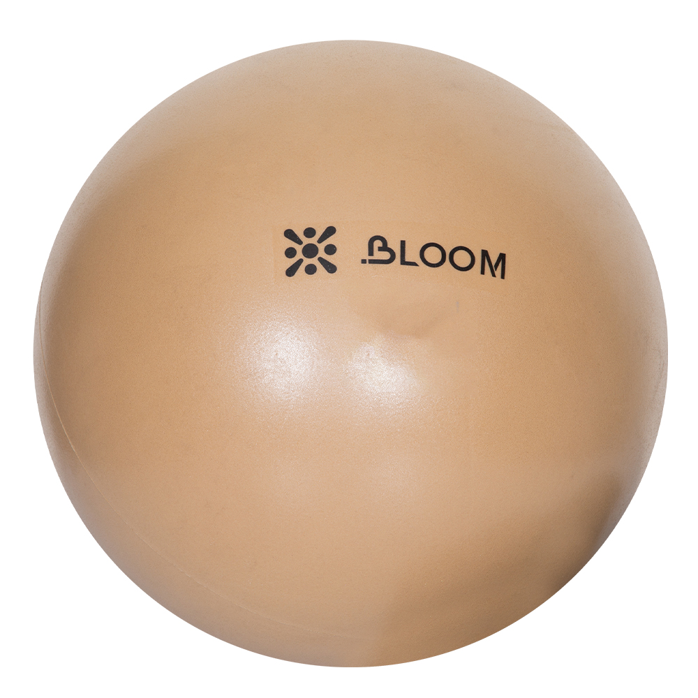 Mini Pilates Ball; 30cm, Brown 1