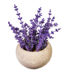 U2 LIVING: Decorative Lavender Plant: (8x7/18)cm, Purple