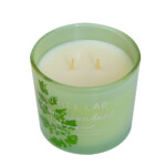 Wellness Candle; 8.5Oz, Lemongrass/Mint