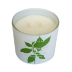 Wellness Candle; 8.5Oz, Sea Salt/Eucalyptus