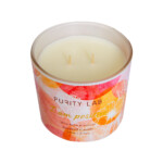 Wellness Candle; 8.5Oz, Wild Rose/Vetiver