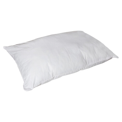Home Centre: Plushed Pressed Pillow; (50×75)cm, White 1