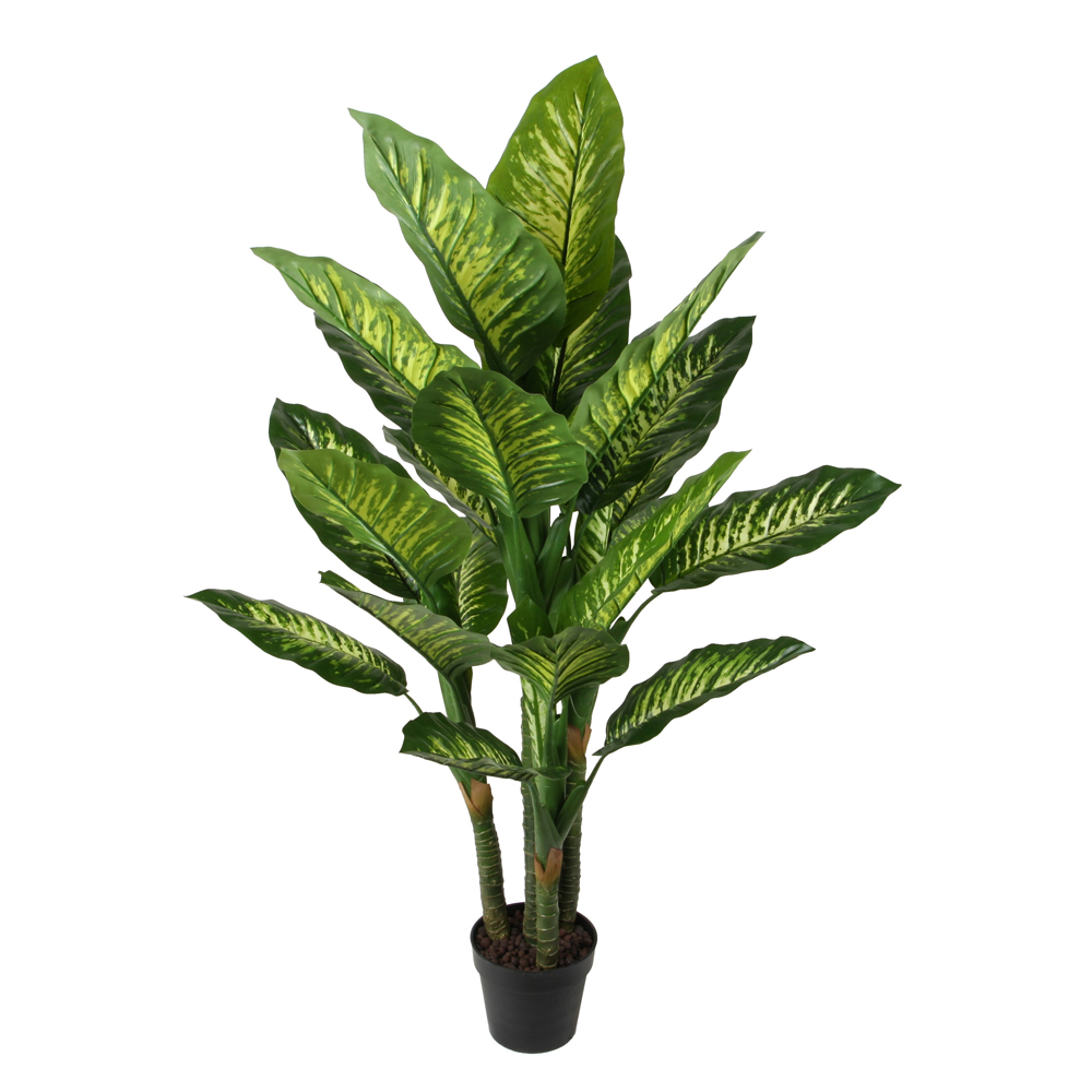 Dieffenbachia Decorative Potted Flower; 150cm 1