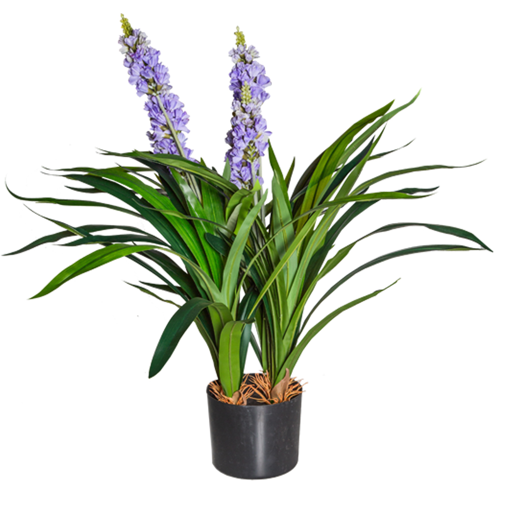 Decorative Lavender Plant; 70cm, Purple 1