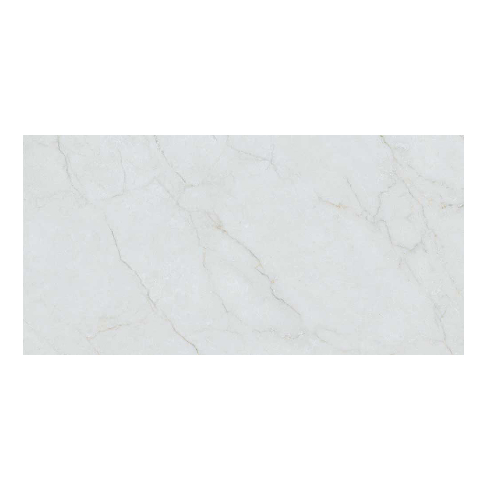 Caryn Bianco Sat: Matt Porcelain Tile; (60.0×120