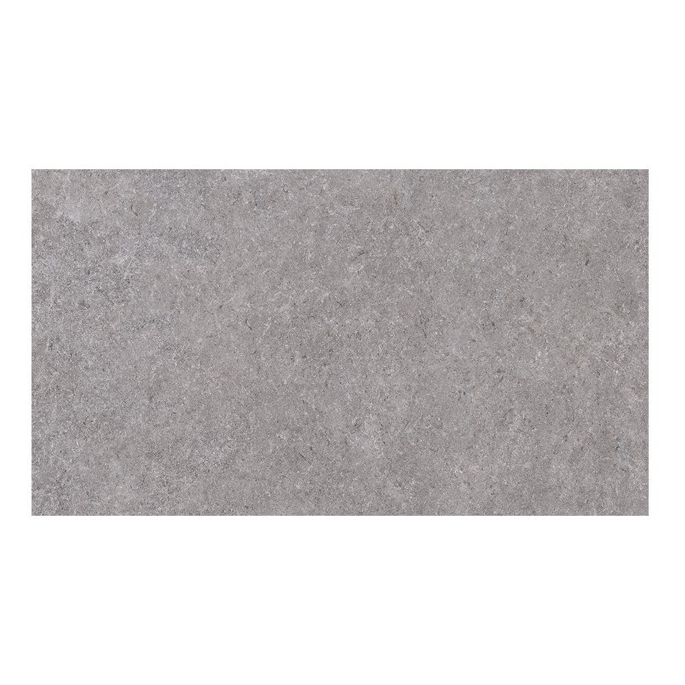 Lagos Silver: Matt Porcelain Tile; (60.0×120