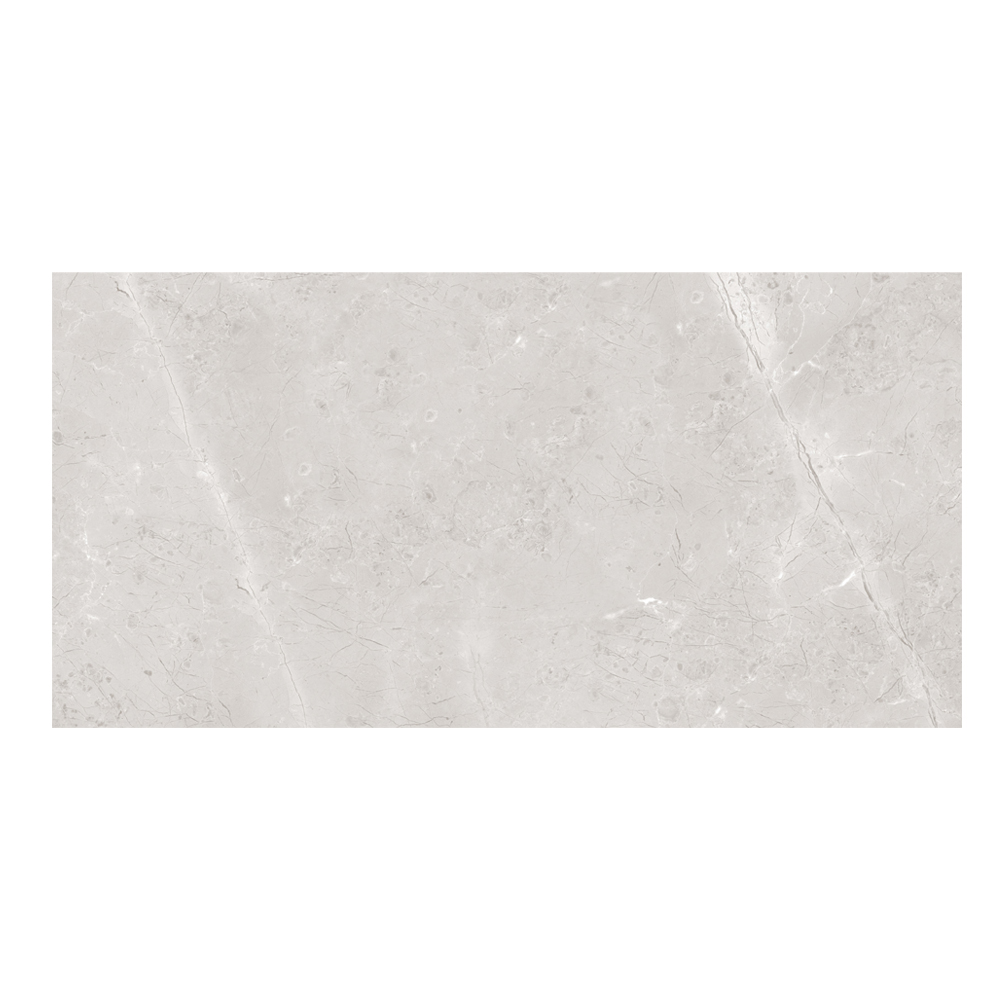 Herten Ash: Matt Porcelain Tile; (60.0×120