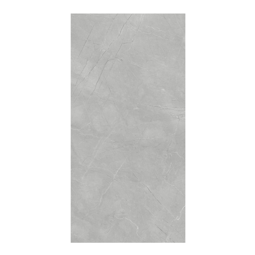 Burberry Grey: Matt Porcelain Tile; (120.0×240