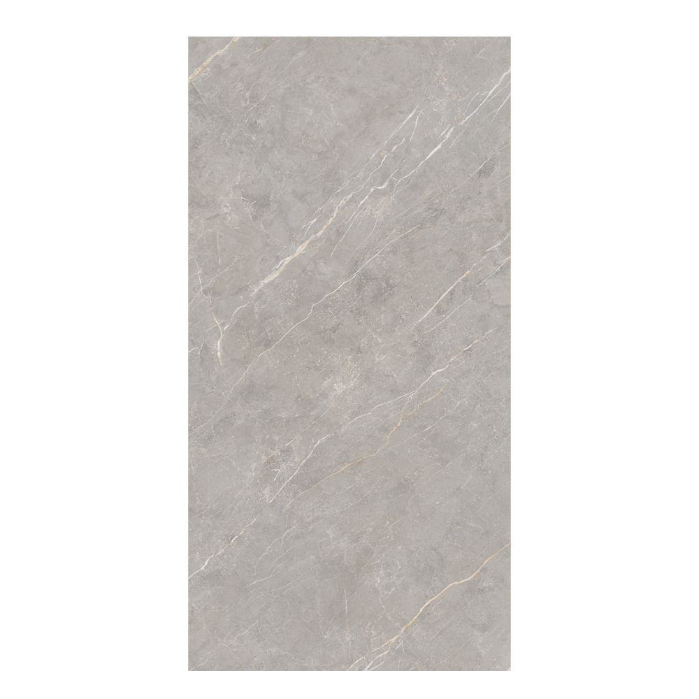 Devci Grey: Matt Porcelain Tile; (120.0x240.0)cm, Grey