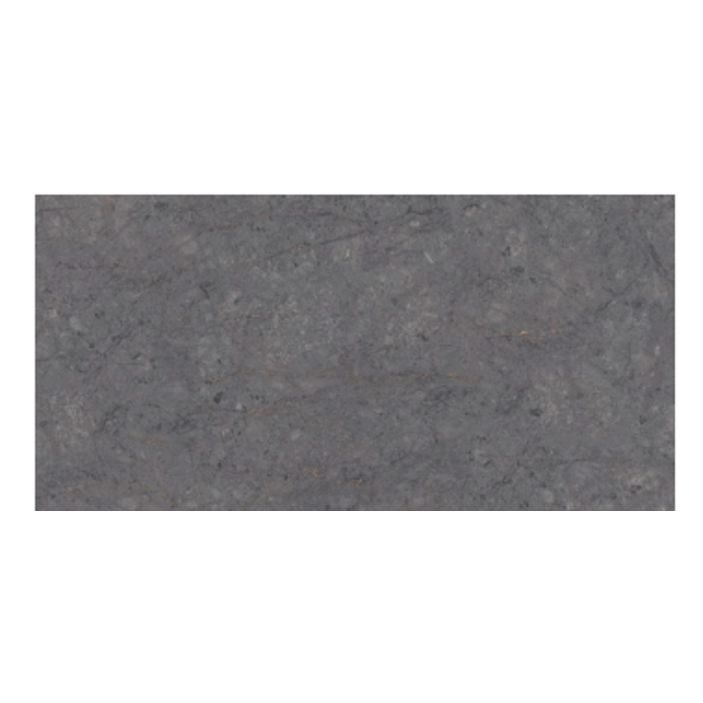 Grey William Plume: Matt Porcelain Tile; (120.0×240