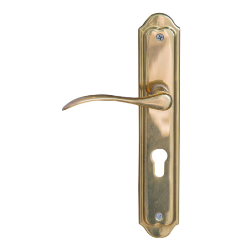 LP402 – Brass Lever Handle with backplate: P&L 1