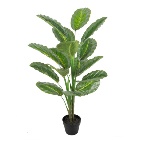 Calathea Decorative Potted Flower; 120cm 1