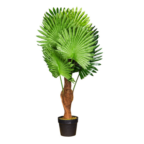 Fan Palm Decorative Potted Flower: 90cm 1