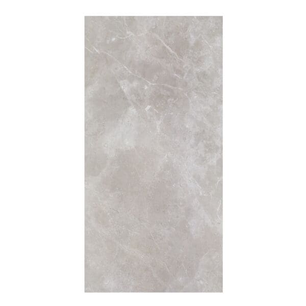 29122E ST Martin: Matt Porcelain Tile; (60.0x120.0)cm