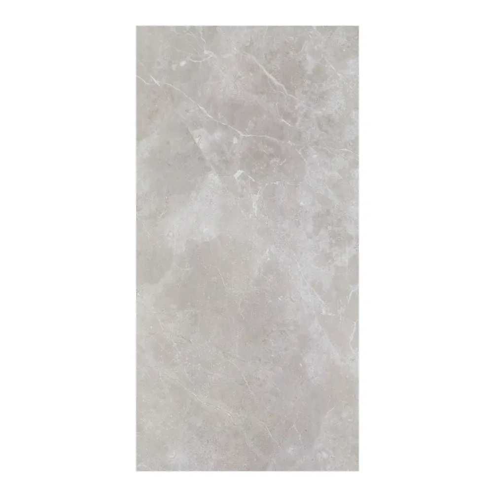29122E ST Martin: Matt Porcelain Tile; (60.0x120.0)cm