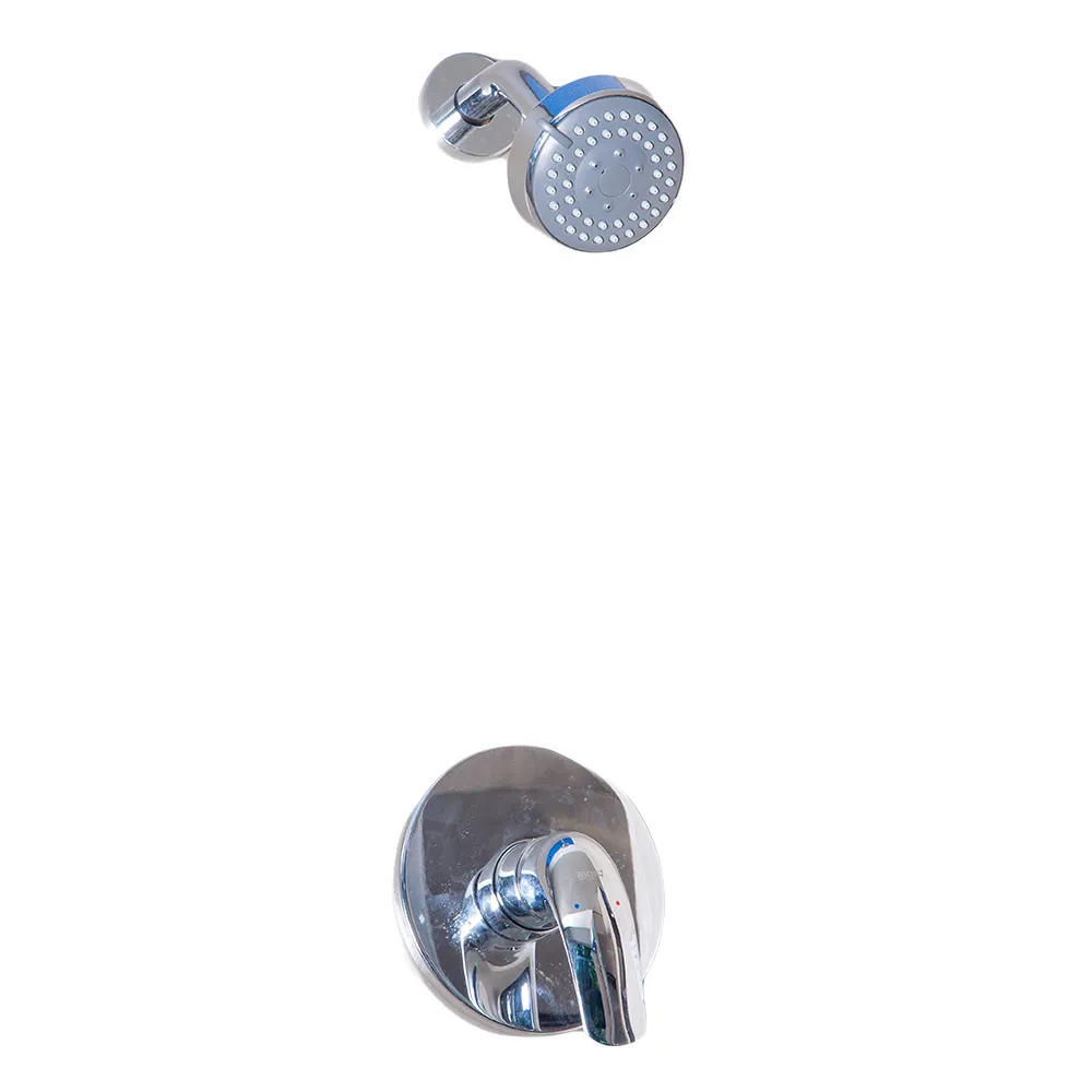 Tapis Wayne: 3-Way Concealed Shower