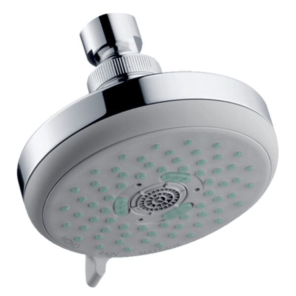 Croma 100 Multi : Shower Head: Chrome Plated