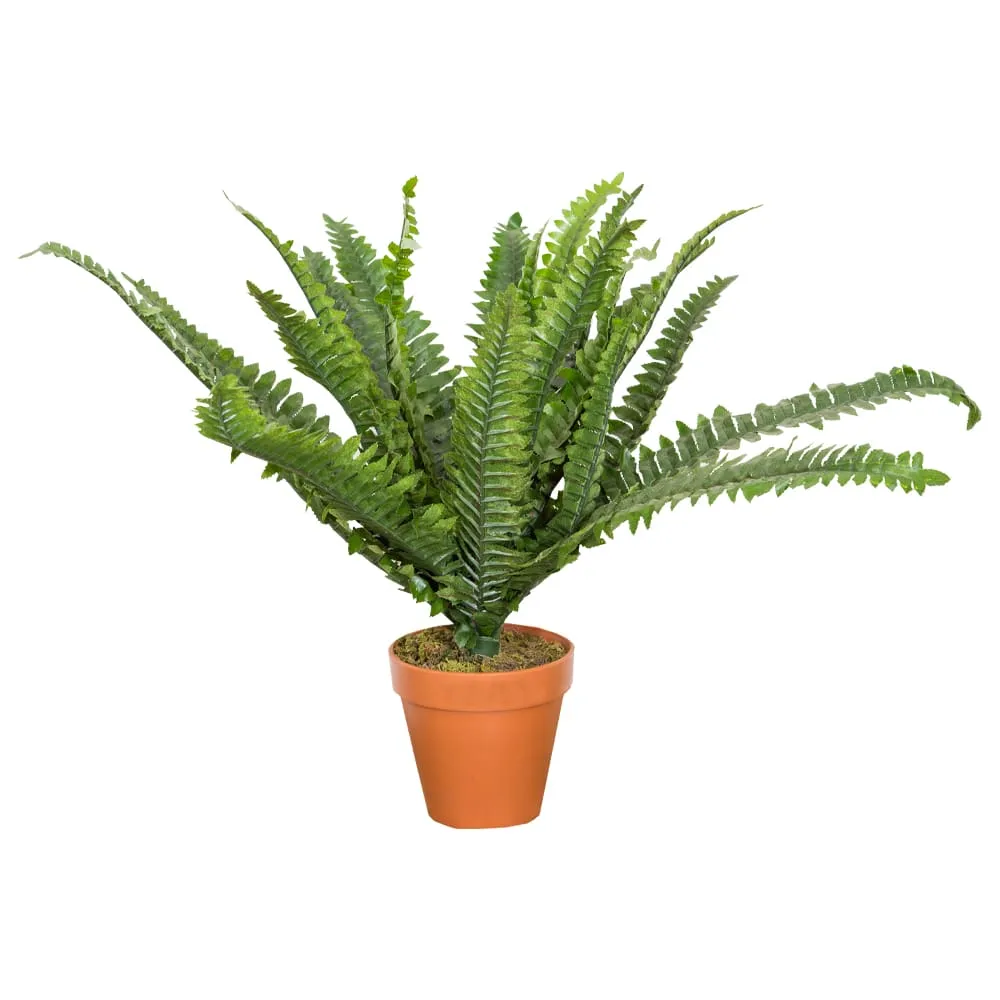 Boston Fern Decorative Potted Flower: 45cm
