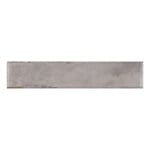 Organic Clay Ashen 202862E: Ceramic Tile; (05.0x25.0)cm