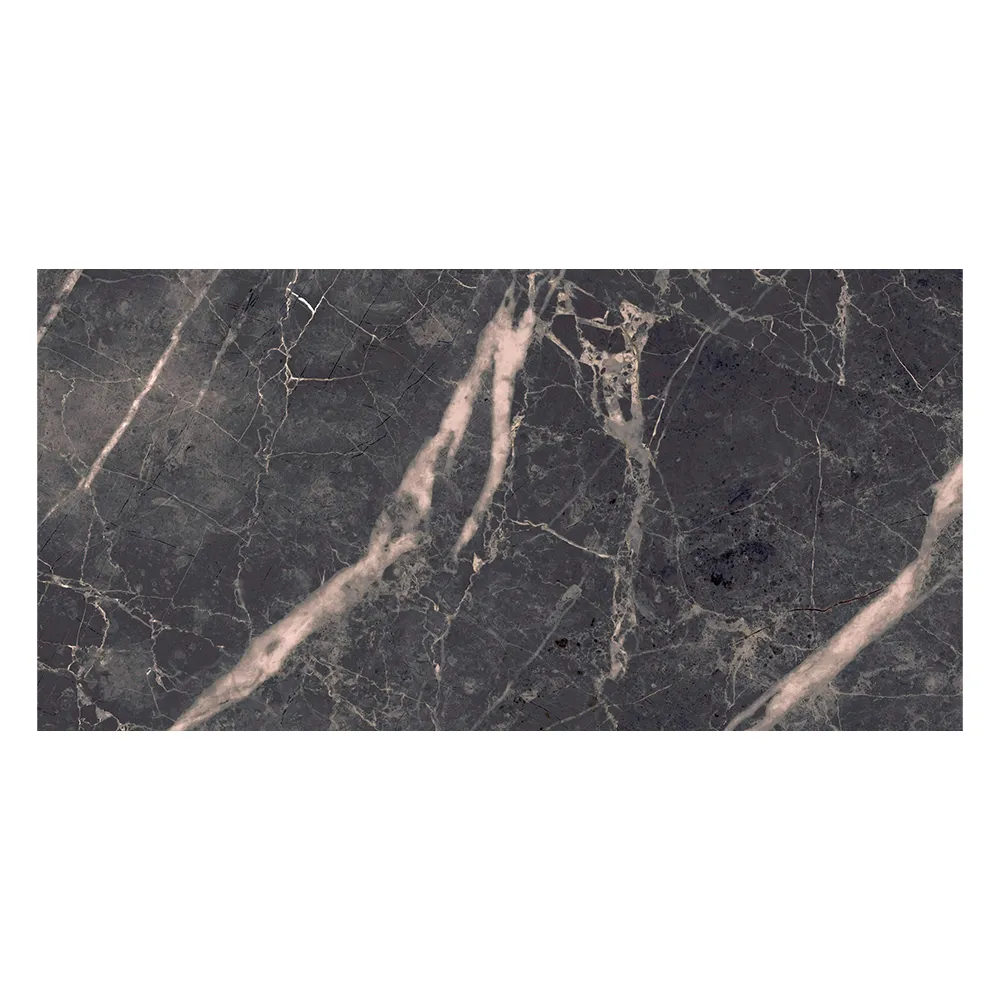 Piave Coal: Polished Porcelain Tile; (30.0x60.0)cm
