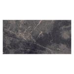 Piave Coal: Polished Porcelain Tile; (30.0x60.0)cm