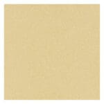 E121W : Matt Porcelain Tile; (20.0x20.0x1.2)cm, Beige