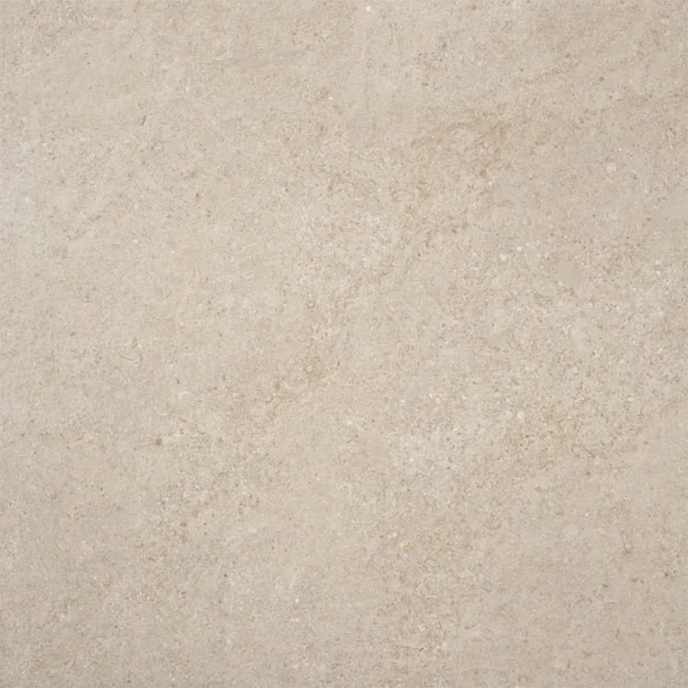 Arenite Natural: Matt Porcelain Tile; (60.0x60.0)cm