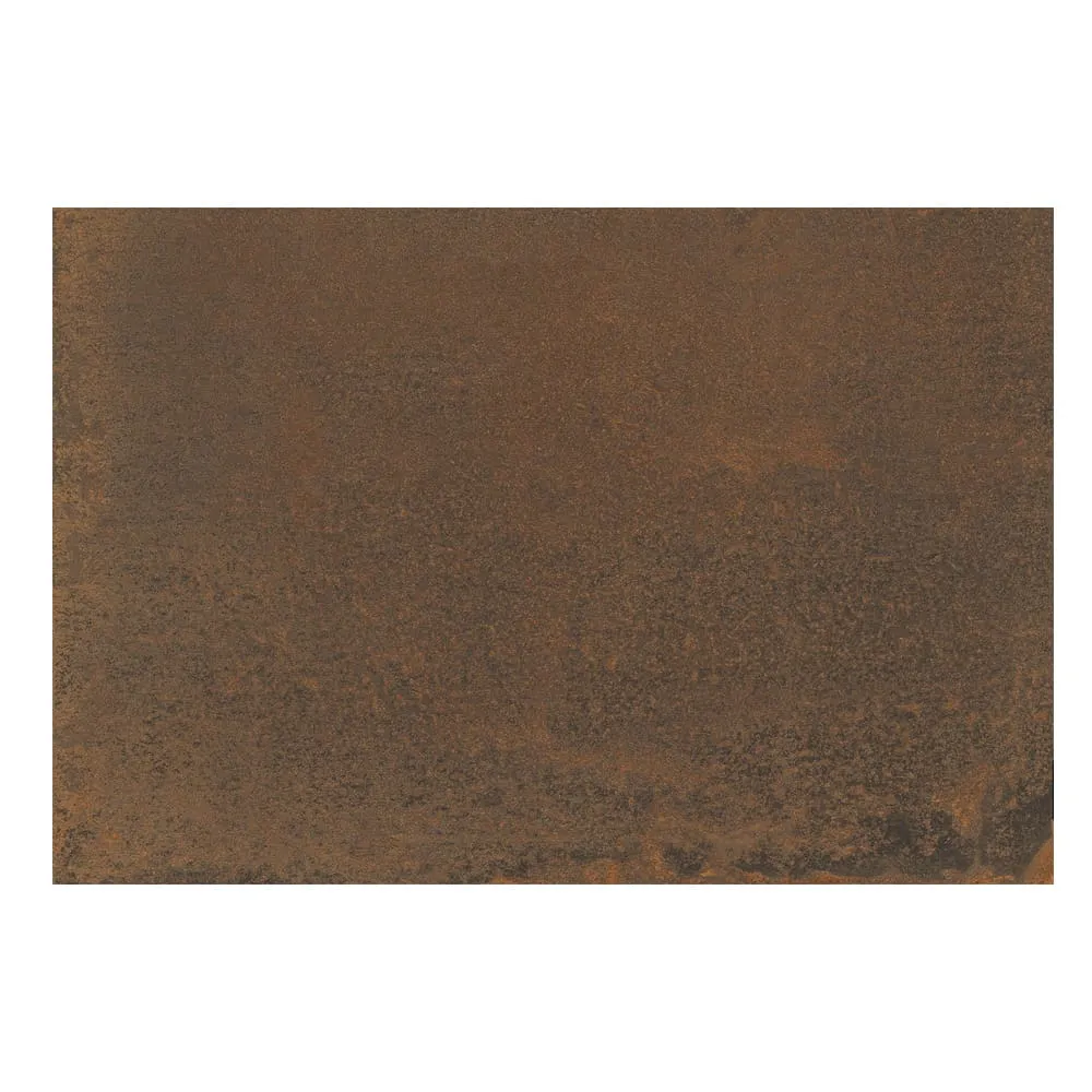 Iron Oxide 20mm 901477: Matt Porcelain Tile; (60.0x90.0)cm