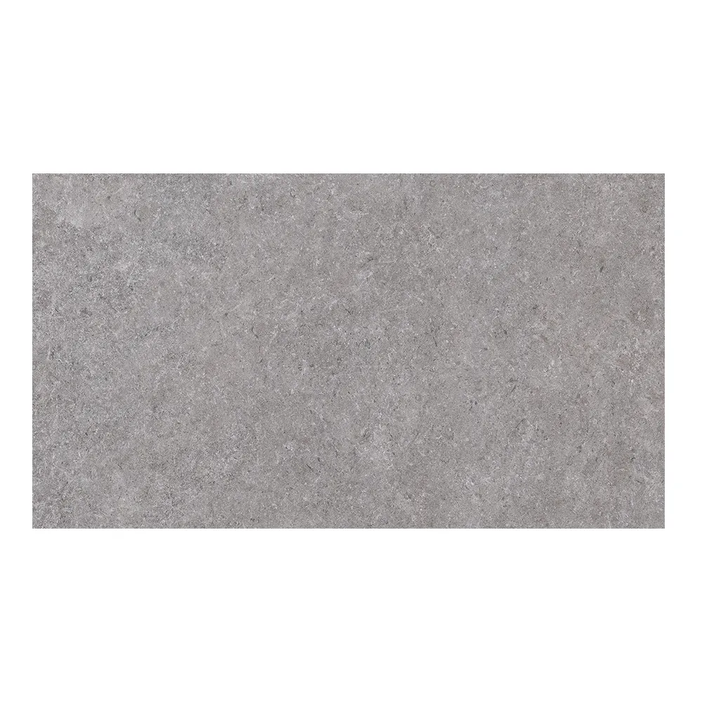 Lagos Silver: Matt Porcelain Tile; (60.0x120.0)cm, Grey