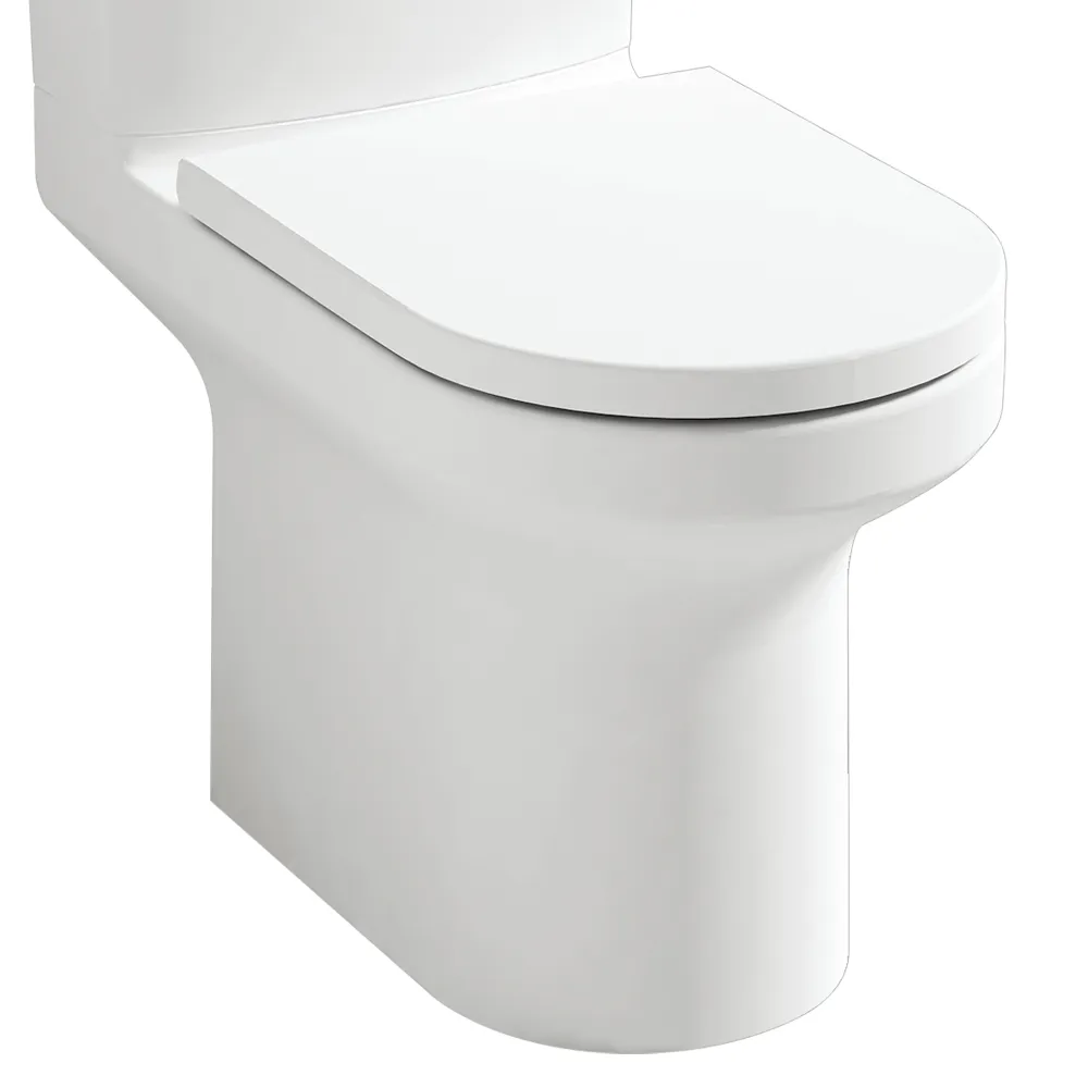 Alma: WC Pan, P-Trap, Rimless, White