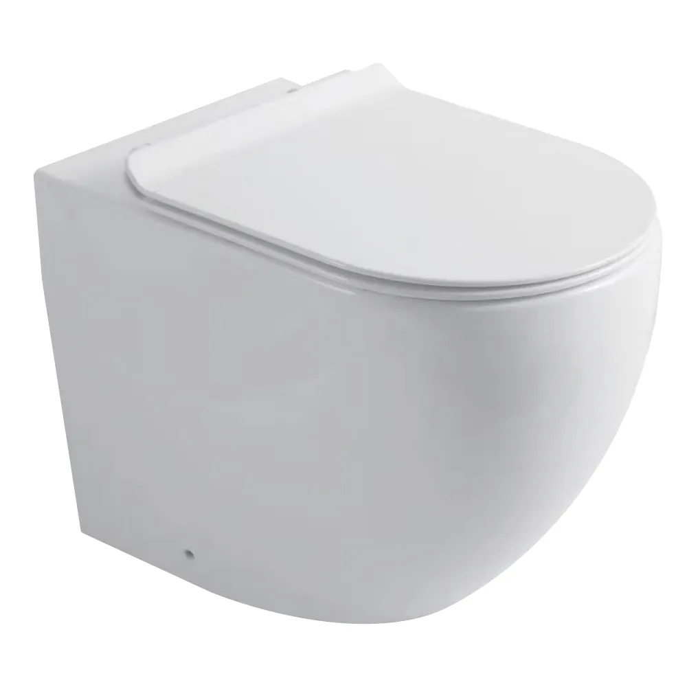 Tapis: WC Pan, Back to Wall, Rimless; White, With In-Built Bidette Function, Chrome Plated