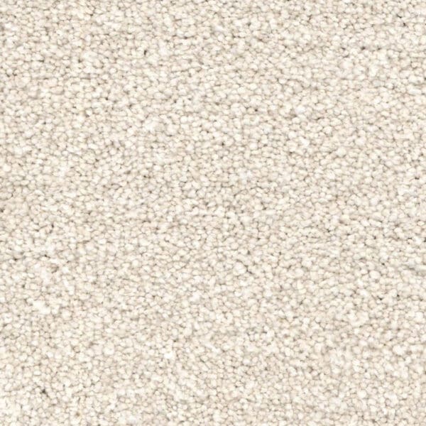 Magic Moment: Carpeting; (x 366x 1.5)cm, Coastal