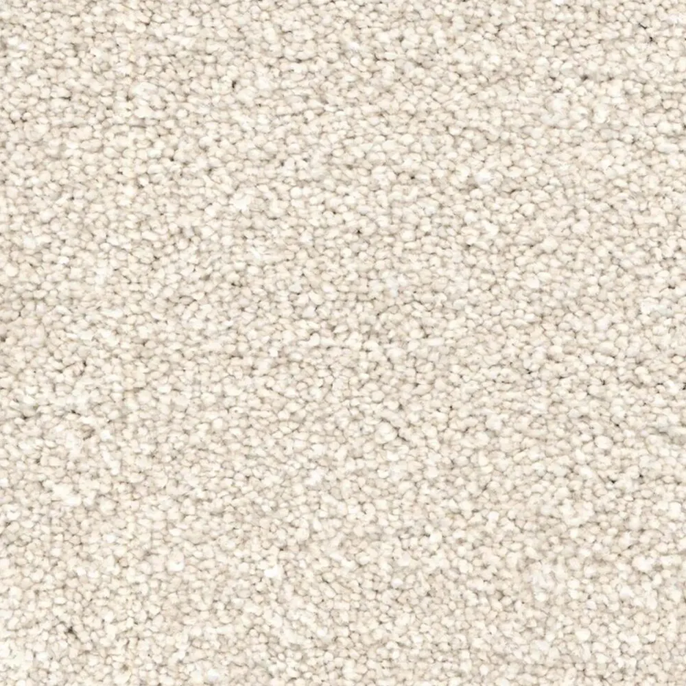 Magic Moment: Carpeting; (x 366x 1.5)cm, Coastal
