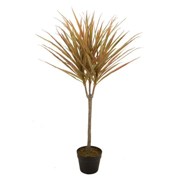 Dracaena Decorative Potted Flower: 95cm