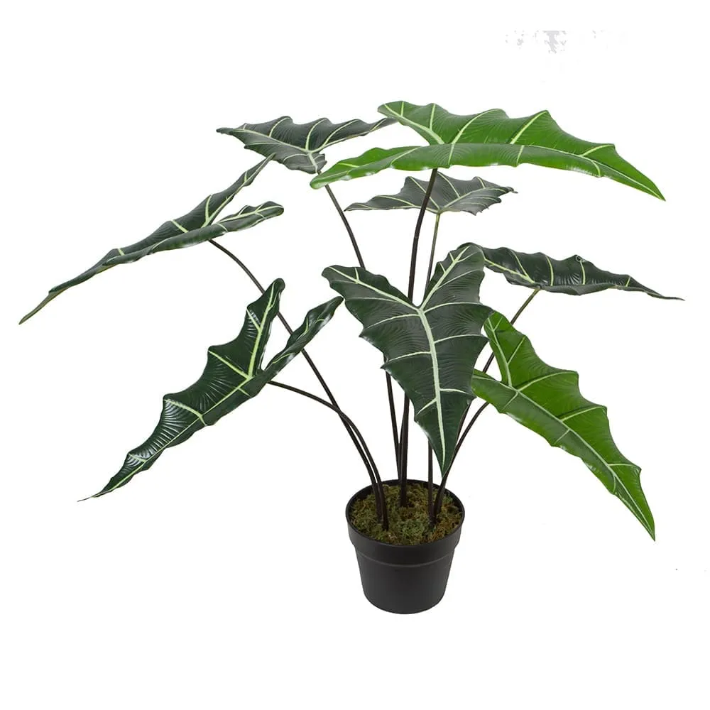 Alocasia Sarian Decorative Potted Flower; 65cm