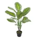 Calathea Decorative Potted Flower; 90cm