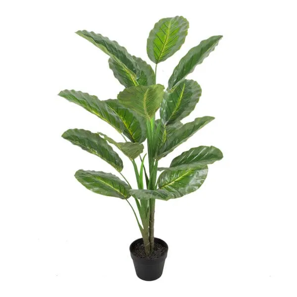 Calathea Decorative Potted Flower; 120cm