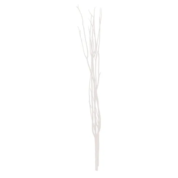 Mitsumata Standard Quality (90-117CM); 3pcs, White