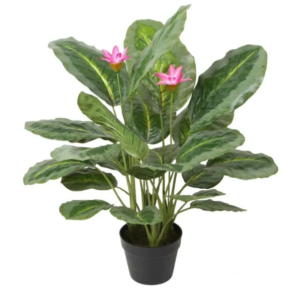 Calathea Decorative Potted Flower; 65cm