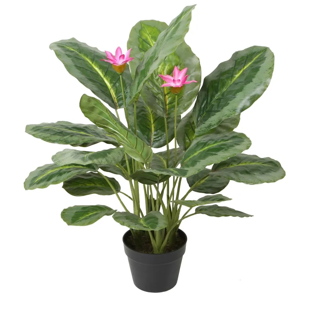 Calathea Decorative Potted Flower; 65cm