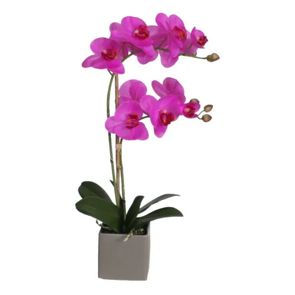 Phalaenopsis Decorative Potted Flower; 54cm