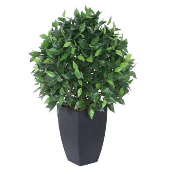 Ficus Topiary Decorative Potted Flower; 65cm
