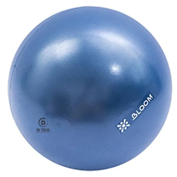 Live Up: Mini Pilates Ball; 30cm, Blue