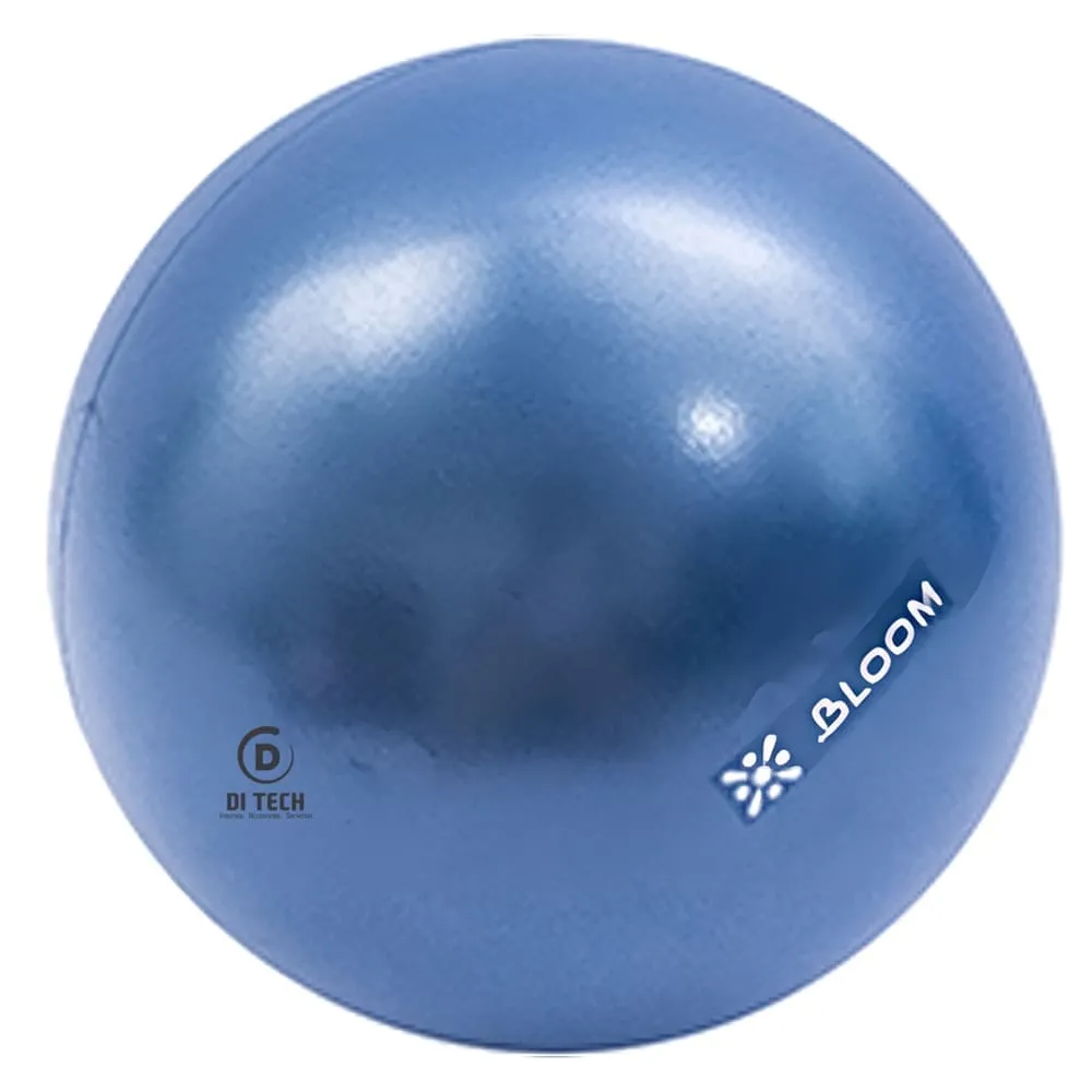 Live Up: Mini Pilates Ball; 30cm, Blue
