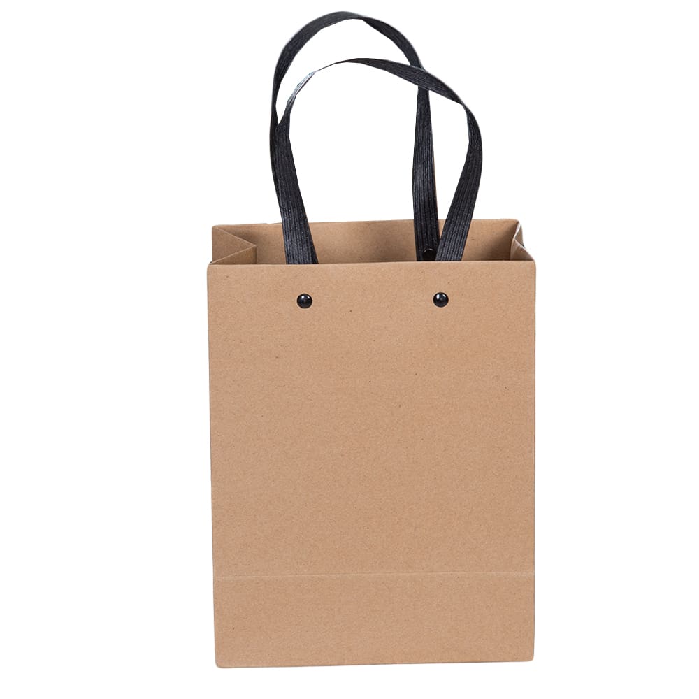 Gift Bag; (22x17x10)cm