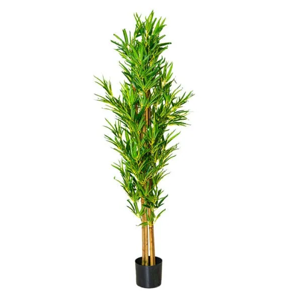 Decorative Bamboo Plant; 150cm