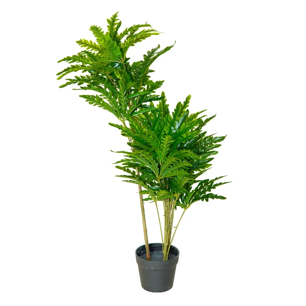 Decorative Tropical Plant; 60cm